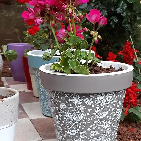 Апартаменти Piranesi With A Parking Space