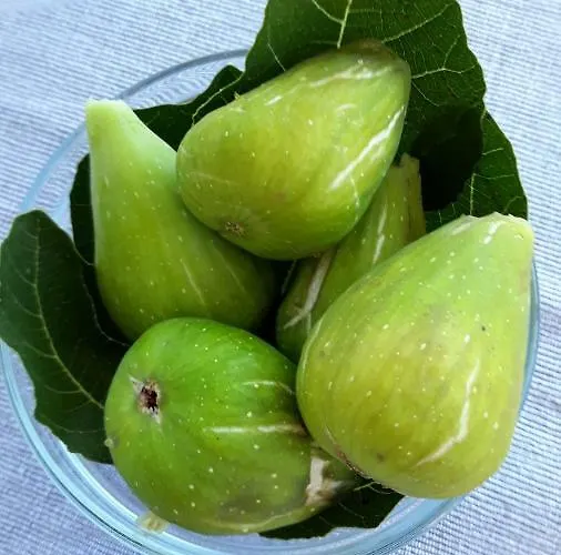 Piranesi With A Parking Space Appartamento Pola