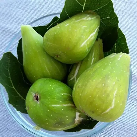 Piranesi With A Parking Space Appartamento Pola